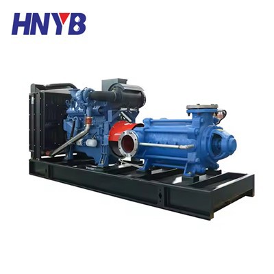 Diesel Engine Multistage Pump