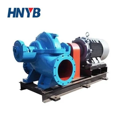Double Suction Pump