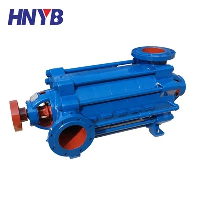 Ring Section Pumps